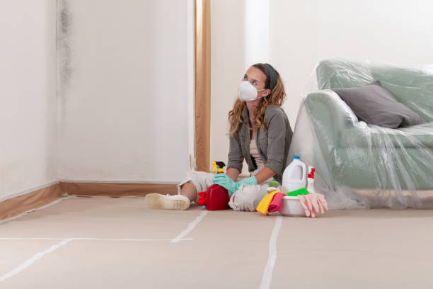 Reliable Commercial Mold Remediation contractor in Easton, PA by Car Mold Remediation